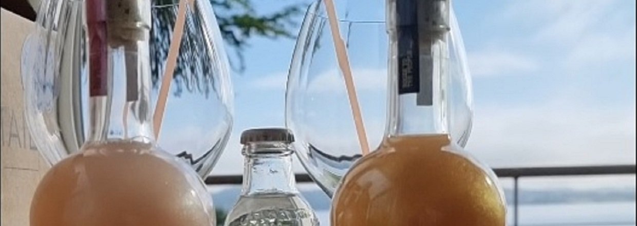 Cocktail smagning med Gin fra Knaplund  17 - 18 august 2023