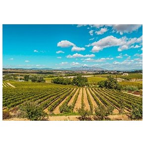 Catalonien - Peneds DO