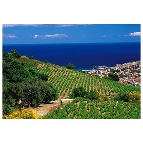 Languedoc - Roussilon
