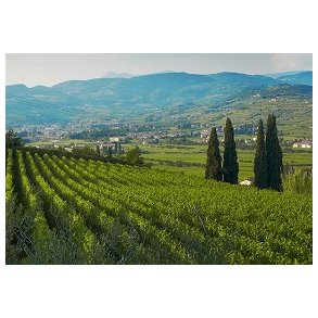 Valpolicella